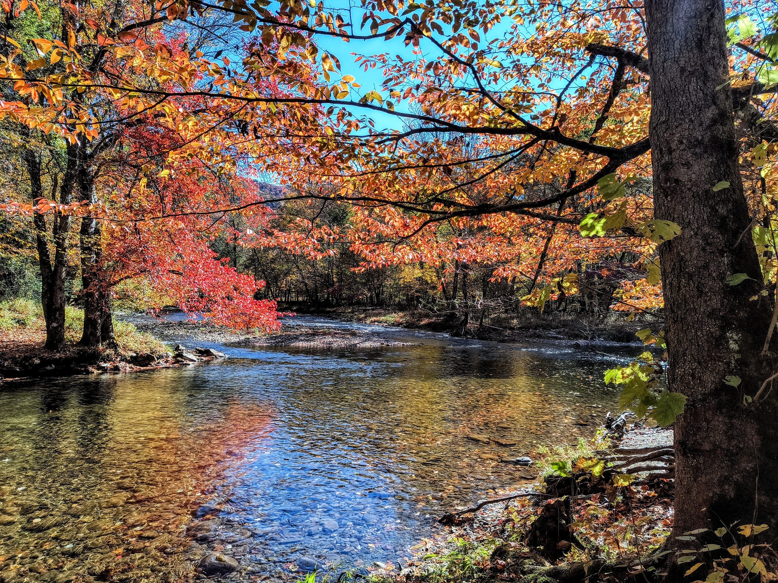 Smoky Mountains - Music, Majesty & Praise